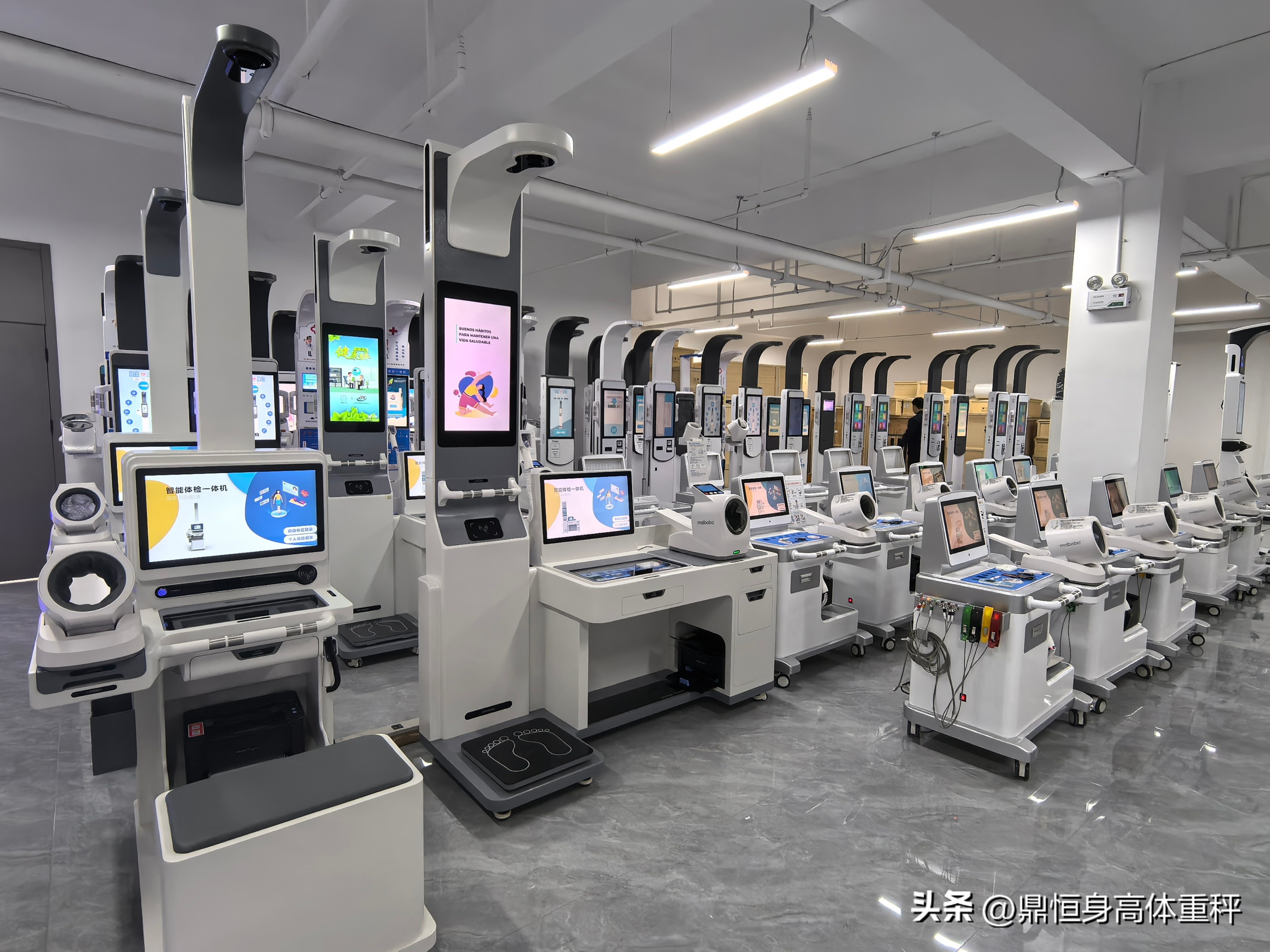 能测身体健康的手机_手机测健康软件排行榜下载_能测身体健康手机有哪些